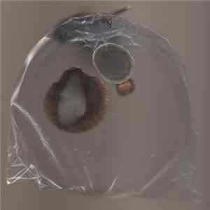 Soun.Din - SituAction in PAC, Dublin FLAC