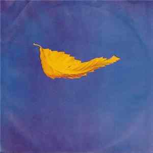 New Order - True Faith FLAC