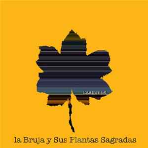 Caalamus - La Bruja Y Sus Plantas Sagradas FLAC