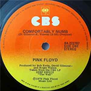 Pink Floyd - Comfortably Numb FLAC