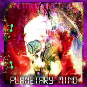 Mettanoia - Act Four - Planetary Mind FLAC