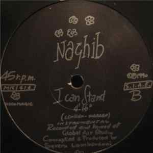 Naghib - I Can Stand FLAC