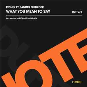 Ridney Ft. Sander Nijbroek - What You Mean To Say FLAC