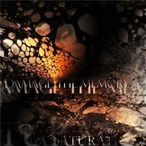Saturate - Damage The Memory FLAC