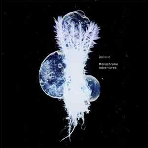 Upland - Monochrome Adventures FLAC