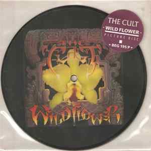 The Cult - Wild Flower FLAC