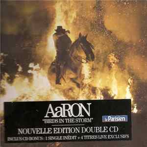 AaRON - Birds In The Storm FLAC