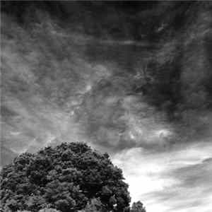 Bjork - Hidden Place (Douc Langur Remix) FLAC