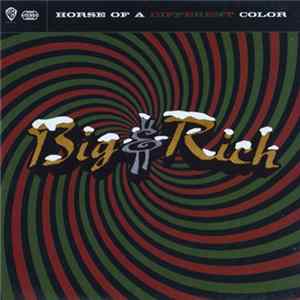 Big & Rich - Horse Of A Different Color FLAC