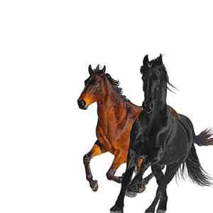 Lil Nas X Feat. Billy Ray Cyrus - Old Town Road (Remix) FLAC