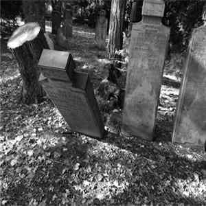 The Rorschach Garden - Funeral Party FLAC
