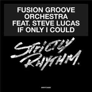 Fusion Groove Orchestra Featuring Steve Lucas - If Only I Could FLAC
