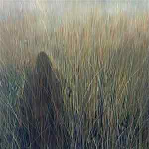 Saltbreaker - Russian Blanket FLAC