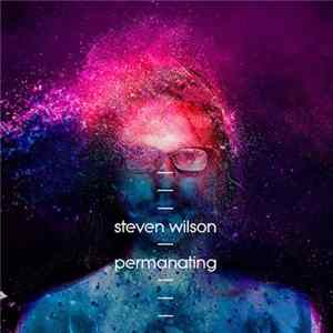 Steven Wilson - Permanating FLAC