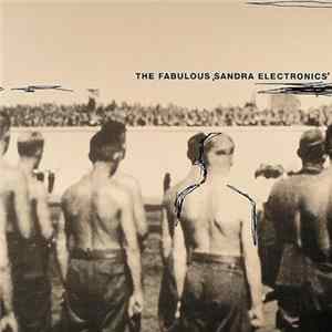The Fabulous 'Sandra Electronics' - Cubs! Do Your Best! / We Will Do Our Best! FLAC