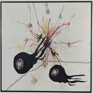 Separate Spines - Voli FLAC