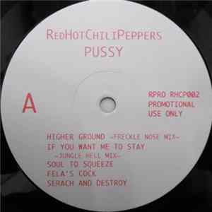 Red Hot Chili Peppers - Pussy FLAC