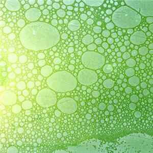 Kongahouse - Bubble Mountain FLAC