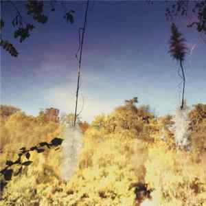 Disco Anti Napoleon - Ascent FLAC