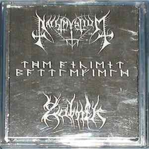Nachtmystium / Zalnik - The Ancient Battlefield FLAC
