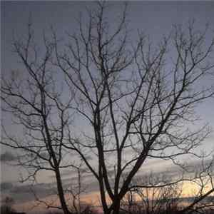 Lullabies Under A Grey Sky - Autumn FLAC
