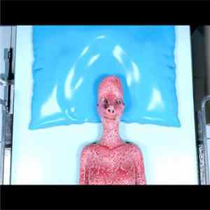 Jamie Palm - Into The Mind FLAC