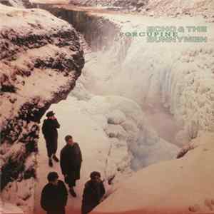 Echo & The Bunnymen - Porcupine FLAC