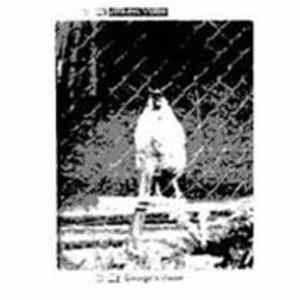 George's Vision - George's Vision FLAC