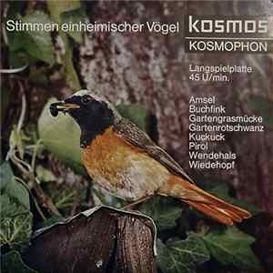 C. Fentzloff - Stimmen Einheimischer Vögel FLAC