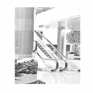 SPRRW - Decay Of Courage FLAC