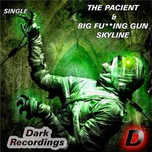 Big Fucking Gun, The Pacient - Skyline (Original Mix) FLAC