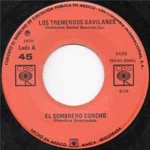 Los Tremendos Gavilanes - El Sombrero Concho FLAC