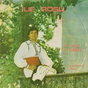 Ilie Roșu - Pe Valea Cu Florile FLAC
