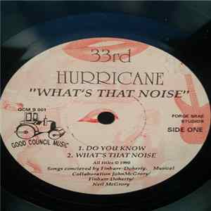 The 33rd Hurricane - " What's That Noise " FLAC