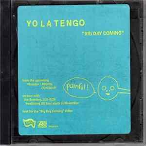 Yo La Tengo - Big Day Coming FLAC
