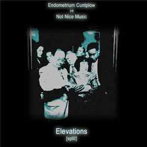 Endometrium Cuntplow vs. Not Nice Music - Elevations Split FLAC