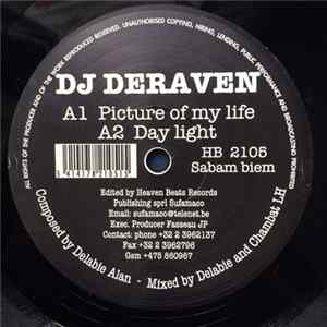 DJ Deraven - Picture Of My Life FLAC