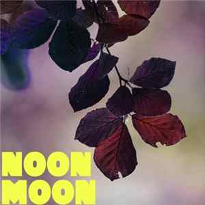 Miro Pajic - Noon Moon FLAC