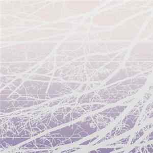 Lea Bertucci - Metal Aether FLAC