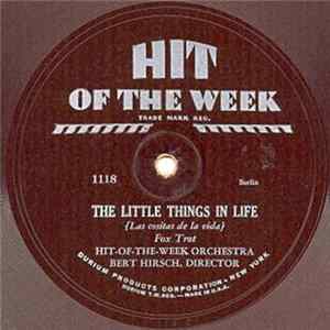 Hit-Of-The-Week Orchestra - The Little Things In Life FLAC