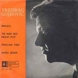 Predrag Gojković - Brazil FLAC