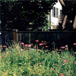 Mike Shannon • Luca Miti • Jeph Jerman - Spring-Summer 2002 FLAC