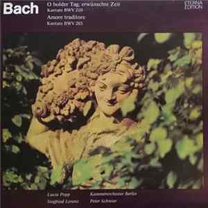 Bach - O Holder Tag, Erwünschte Zeit. Kantate BWV 210. Amore Traditore. Kantate BWV 203 FLAC