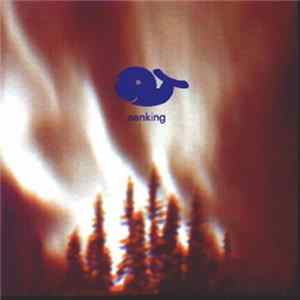 Senking - Senking FLAC