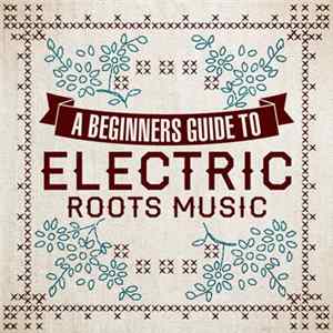 Various - A Beginners Guide To Electric Roots Music FLAC