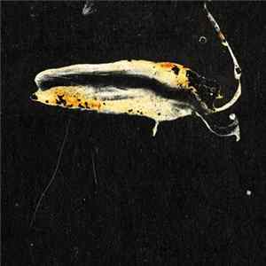 Euros Childs - Eilaaig FLAC