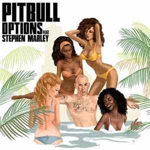 Pitbull Feat Stephen Marley - Options FLAC