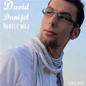David Danijel - Anđele Moj FLAC