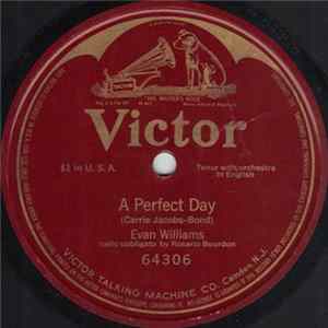 Evan Williams - A Perfect Day FLAC
