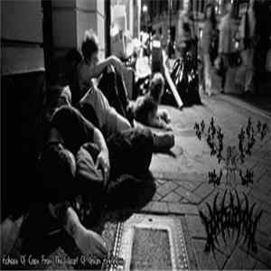 DxAxAx / VirusFeast - Echoes Of Cries From The Heart Of Urban Emptiness FLAC
